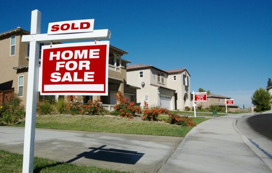 Kgale-Auctioneers-16